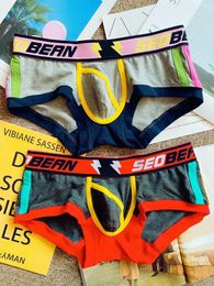 Underpants 2pcs/lot Men's Underwear Cotton Fashion Trendy Youth Low Rise Tight Sexy Boxer Shorts