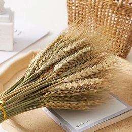 Decorative Flowers 50/100 Pcs Real Natural Dried Wheat Ear Tail Grass Decor Boho Fall Home DIY Craft Bouquet Decoration