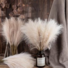 Artificial Pampas Grass Flower Bouquet For Home Wedding Decoration DIY Party Bedroom Fake Plant Flowers Vase Decor Reed GC2411