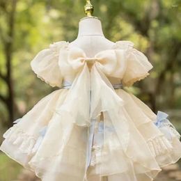Dog Apparel Wedding Dress Fashion Puppy Skirt For Small Dogs Clothes Party Sweet Pet Princess Dresses Supplies Maltese