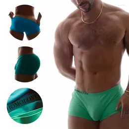 Underpants Men's Shorts Seamless Sexy Underwear Solid Blue Green Mens Large Sizes Panties Male Boxer Briefs Ultra Comfort