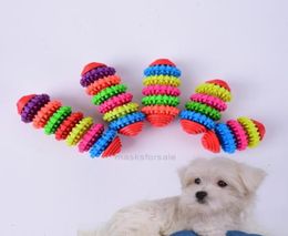 Teething Dog Puppy Colourful Rubber Dental Small Pet Healthy Teeth Gums Chew Toys 057X4573322