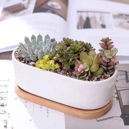 Planters Pots 1 Set Minimalist White Ceramic Succulent Plant Pot Porcelain Planter Decorative Desktop Flowerpot Home Decor1 Pot 1 Tray 231025