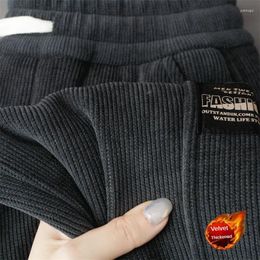 Men's Pants Winter Fleece Men Warm Thick Casual Harem Plus Velvet Drawstring Trousers Comfortable Corduroy Size Sweatpants