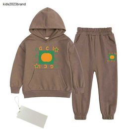 New children's Clothing BABY hoodie Sets boys girls cotton Garment kids Outdoor sports sweater pants Clothing Sets