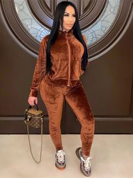 Womens Two Piece Pants Fashion Set for Women Velvet Tracksuit Autumn Clothing Zip Top Long Suit Casual Velour 2Piece Outfits 231024