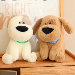 Plush Dolls Big Nose Dog Stuffed Animal Cute Husky Toy Fluffy Birthday Gifts for Boys Girls 231025