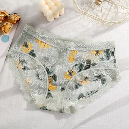 Lace panties women feel hot transparent mid-waist triangle breathable women's bow mesh panties