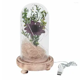 Night Lights USB Plug-in Light Art Crafts Handmade Dried Flower In Glass Dome Ornaments Micro Landscape Decor For Wedding Banquet