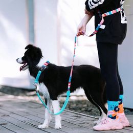 Dog Collars Slip Nylon Collar And Leash Set For Running Training Designer Strong Choke Leads Pet Leashes Elastic Walking