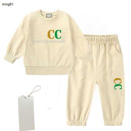 Brand kids Clothing Sets high quality Baby sportswear boys Sweater suit Children's clothes Tops pants two-piece size 90-160