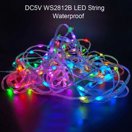 5V WS2812b Christmas Light WS2812 RGB Addressable Personal LED String with Bluetooth Music Garden 231025