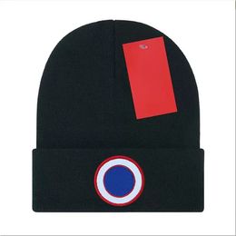 Autumn Winter Canada Knitted hat Luxury beanie cap winter Men's and Women's Unisexembroidered logo goose wool blended hats G-11