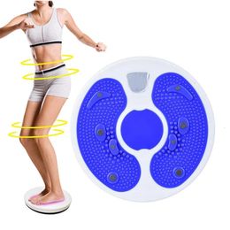 Twist Boards Home Waist Wriggling Plate Twist Board Magnet Disc Home Fitness Equipment Workout Plate Training Tool 231025