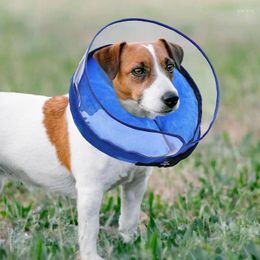 Dog Collars Recovery Collar Inflatable Pet Anti-bite Neck Cute Cat Puppy Protective Circle For Dogs