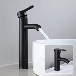 Bathroom Sink Faucets Black Paint Basin Faucet Single Lever Cold Water Mixer Tap Stainless Steel Deck Mounted Tall/Short