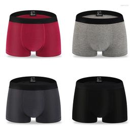 Underpants 4pcs Mens Underwear Brand Cotton Short Boxers Man Custom Boxer Shorts Men Sexy Briefs Plus Size 4xl