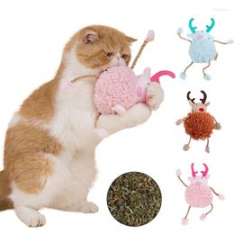 Cat Toys Lovely Pet Plush Cotton Rope Sound Interactive Bite Resistant Teething Chew Toy For Cats Kitten