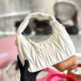 Fashion Designer bagPremium lambskin material vintage elegant unique pleated texture playful cute size 7X18X25cm pleated bag