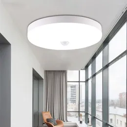 Ceiling Lights Motion Sensor LED Light Surface Mounted Lamps 18W 12W Modern For Corridor Entrance Balcony Night Lighting