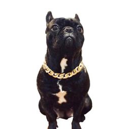 Pet Dog Cat Chain Collar Puppy Necklace Personalized Bully Gold Chain Powerful Plastic for Dogs Jewelry Pet Accessories26155258227