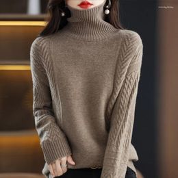 Women's Sweaters Autumn And Winter Pile Collar Wool Sweater 100 Pure Turtleneck Bottoming Shirt Thickened Twisted
