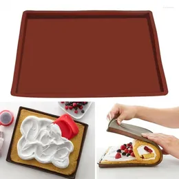 Baking Tools Silicone Pad Multi-functional Cake Tray Pan Mat Painted Pastry Swiss Roll Mold Tool