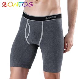 Underpants Underwear Boxer Long Leg W Fly For Men Panties Mens Shorts Cotton Boxershorts Homme Male Plus Size Sexy 231025