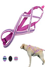 Dog Weight Pulling Sledding Harness Pet Mushing X Back Harness For Husky Large Dogs Exercise Bikejoring Skijoring Scootering 210325205681