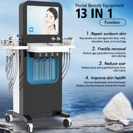 Skin Beauty Equipment Aqua Peel Microdermabrasion Skin Elasticity Restoration Face Firming Hydrating Wrinkle Acne Treatment 13 Handles Massage Device