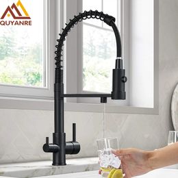 Kitchen Faucets Black Filtered Water Philtre Dual Spout Faucet Mixer Purification Crane For 231026