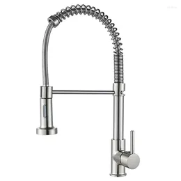 Kitchen Faucets Stainless Steel Brushed Black Torneira Gourmet Pull Down Sink Out Spring