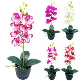 Decorative Flowers Useful Imitation Potted Plant Colorful Orchid Plastic Showcase Shelf Simulation Bonsai Easy-Care