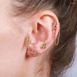Stud Earrings Cubic Zirconia Earring Studs Cute Snake Shaped Stainless Steel Back Ball Screw Piercing Jewellery 20G EGD0353