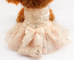 armipet Sequins Lace Embroidered Dog Dress Princess Wedding Dresses For Dogs 6073009 Pet Tutu Skirt Supplies XS S M L XL286V8711772