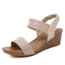 Sandals 2023 European And American Women's Gold Powder Wedge Elastic Large Size Sandal