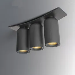 Ceiling Lights LED Light Nordic Down For Kitchen Living Room Bedroom Surface Mount Lamp