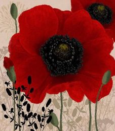 Framed Red I Hand Painted floral Wall Art Home Deco Oil Painting On Canvas.Multi sizes Fl0117934852