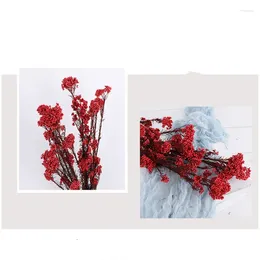 Decorative Flowers 50g Natural Millet Fruit Dried Flower Wedding Gifts For Guests Artificial Home Decorationgift Girlfriend Pampas