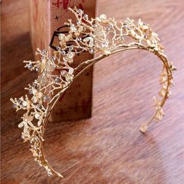 Gold Colour Crystal Crowns Bride Tiara Fashion Queen For Wedding Crown Headpiece Branches Dragonflies Wedding Hair Jewelry246I