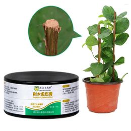 Fioriere 50g Giardino Frutta Bonsai Potatura di alberi Innesto Pasta da taglio Sigillante per ferite S Vaso di fiori Piantare Forniture Strumenti