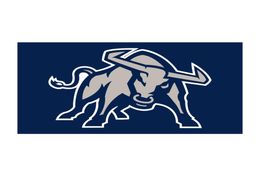 Custom Digital Print 3x5ft Flags Outdoor Sport Football Utah State Aggies BULL OX Flag Banner for Supporter and Decoration1831217