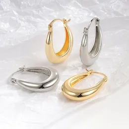 Hoop Earrings Simple Oval Shape Earring For Women Girls Party Punk Jewellery Gift Eh2264