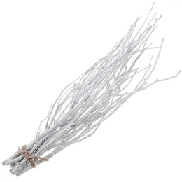 Vases 10 Pcs 50 Cm Dried Twigs Vase Tree Branches Decorative Goblincore Room Birch Wood Crafts Decoration Fillers Centerpieces White