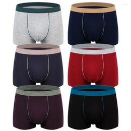 Underpants Pure Cotton Men's Underwear Plus Size Flat Briefs Breathable 3D Seamless Youth Red Boxer MNK25