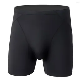 Underpants Men's Boxers Shorts Homme Ice Silk Underwear Cueca Solid Panties Man Breathable Pouch Long Leg Male Trunk Calzoncillo