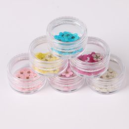20pcs/jar Dried Flowers Nail Art Decorations Colourful Natural Dry Flower 3d Beauty Real Floral Stickers UV Gel Manicure Decals