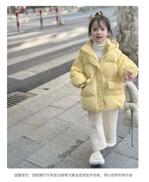 Down Coat 2023 Girls' Winter Cotton Thickened And Warm Korean Version Baby Little Bread