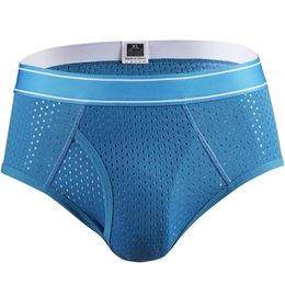 Men Underwear Mesh Holes Qucik Dry Sexy Briefs Breathable Thin Mens Slips Cueca Male Panties Underpants Gay Man268c