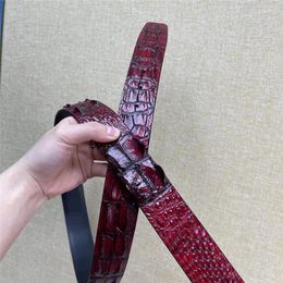 Belts Authentic Genuine Crocodile Skin Wine Red Male Belt For Pin Buckle Exotic Real Alligator Leather High Quality Men's Waist Strap